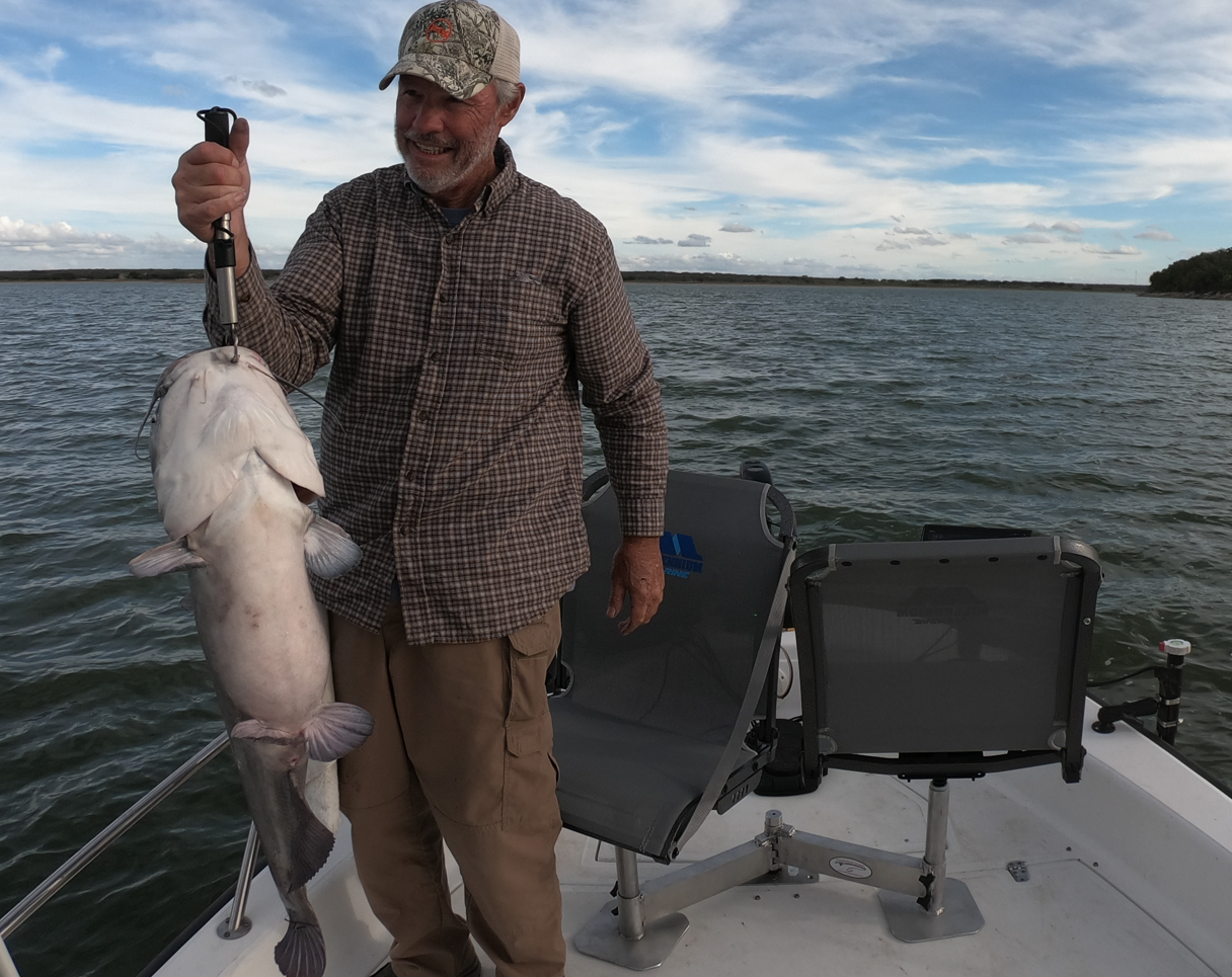 30 lb Blue Cat